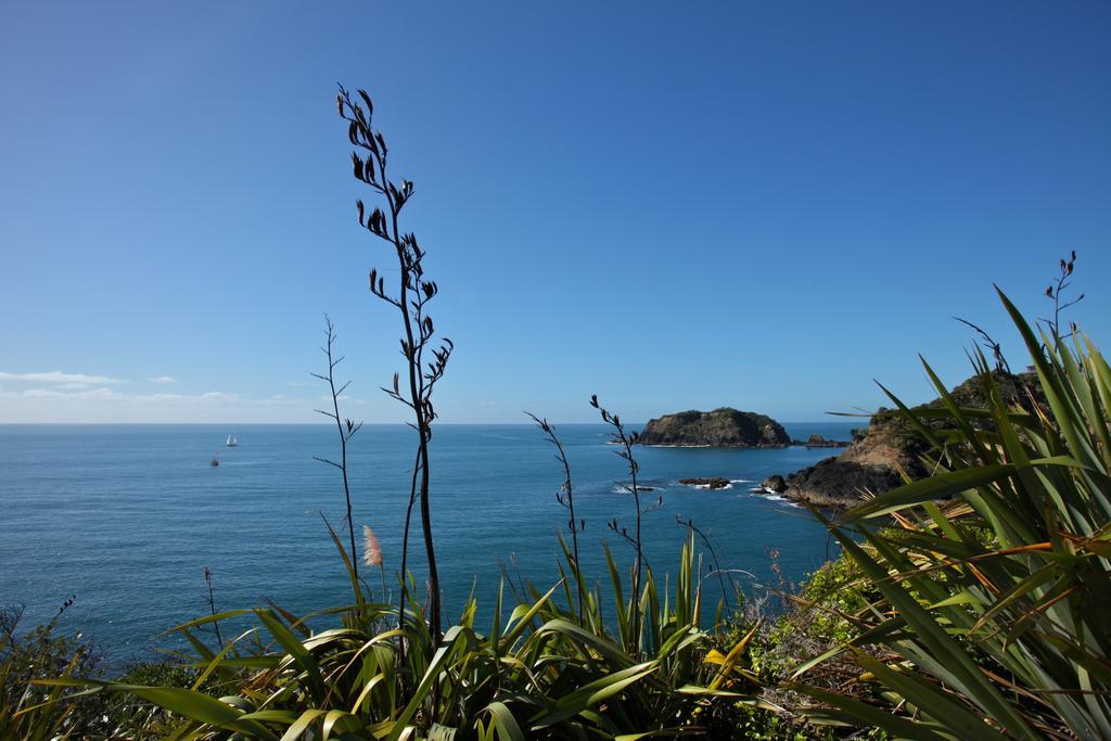 Pacific Rendezvous Tutukaka