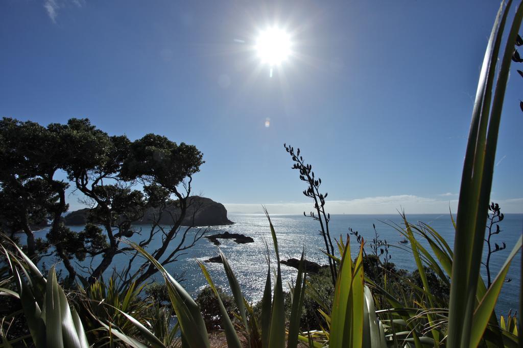 Pacific Rendezvous
